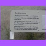 Sand Verbona Sign.jpg